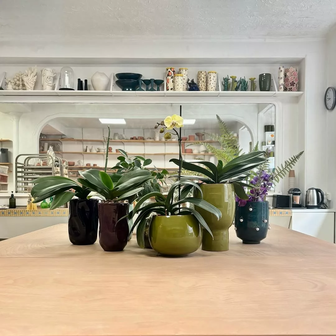 Em Cachepots de Cimento: Modernidade e Design - detalhe