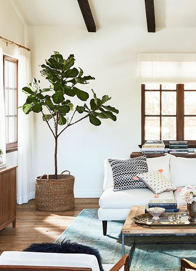 9 Ideias Criativas para Decorar o Canto ...