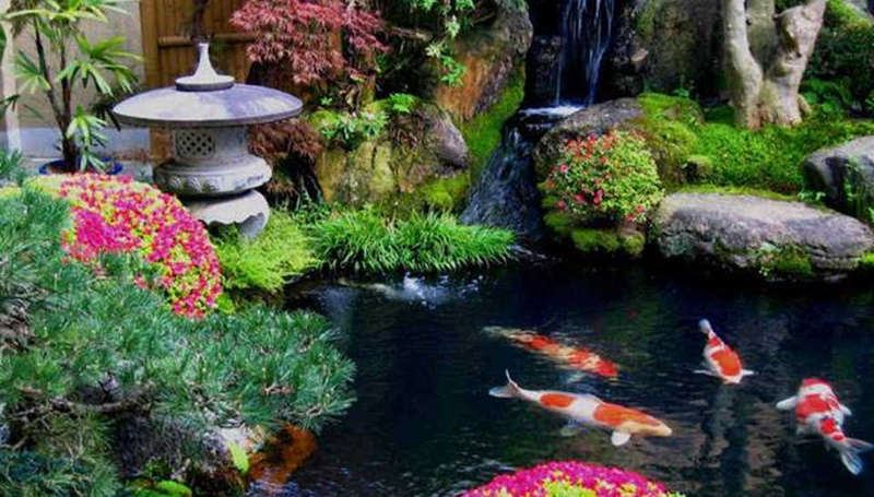 Lago Temático Japonês com Carpas Koi e Ponte de Madeira - detalhe