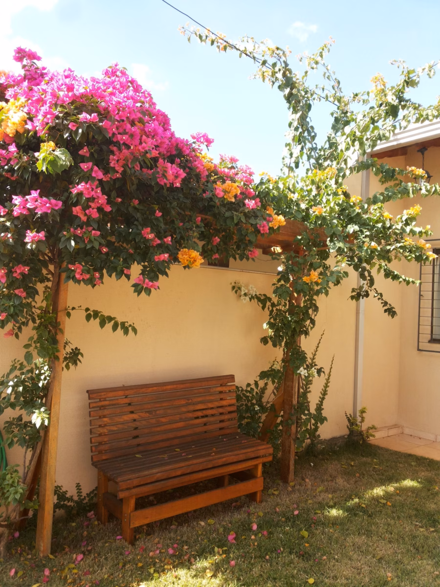 Pergolado Tropical Vibrante: Explosão de Cores com Bougainville - detalhe