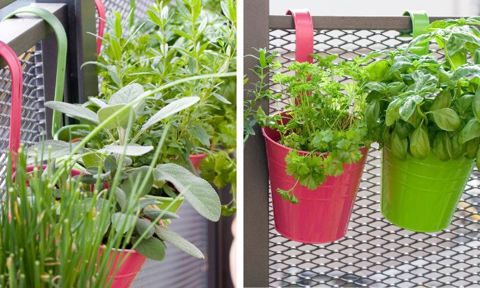 Horta Suspensa em Varanda Pequena: Sabores Frescos ao Seu Alcance - detalhe