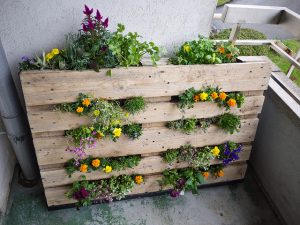 Jardins Verticais Vibrantes com Pallets Reciclados - detalhe