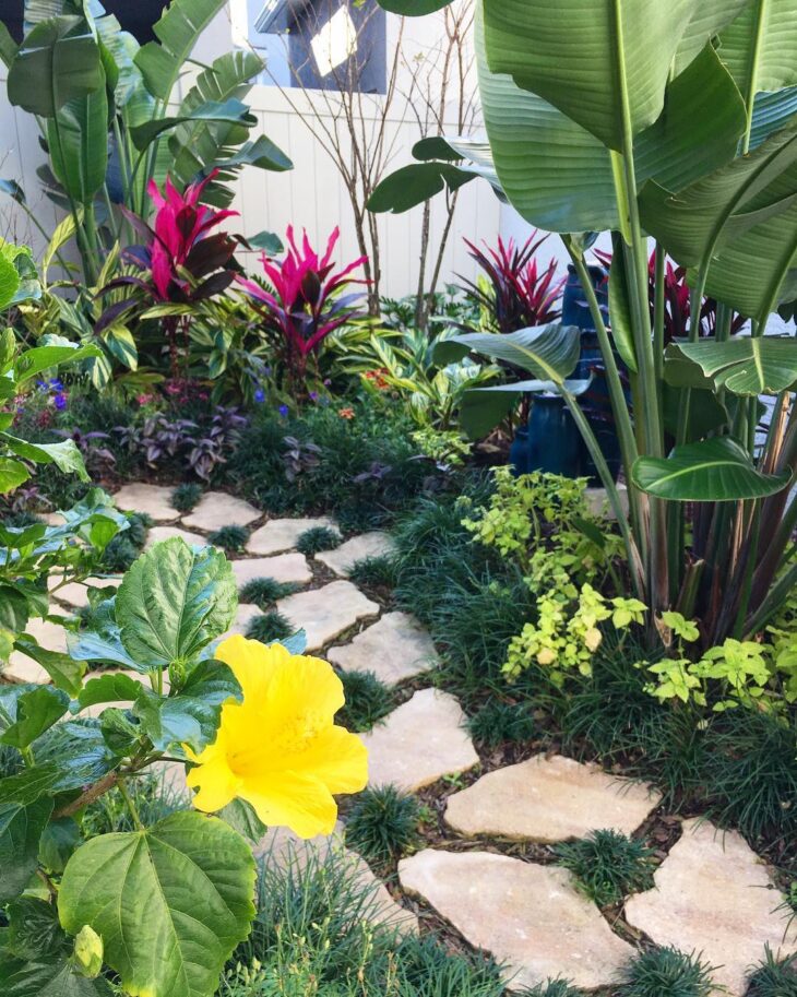 Contrastando com Flores Coloridas: Explosão de Cores no Seu Jardim - inspiração