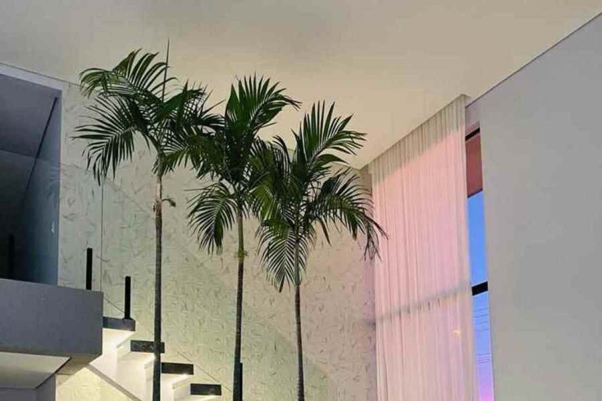 Aproveitando o Espaço: Jardim de Inverno Sob a Escada - ideia