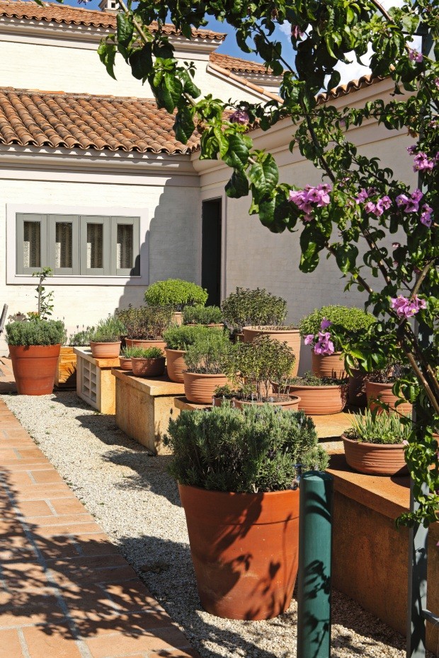 Jardim Aromático em Vasos de Barro Pendurados: Um Festival de Cheiros e Sabores - ideia