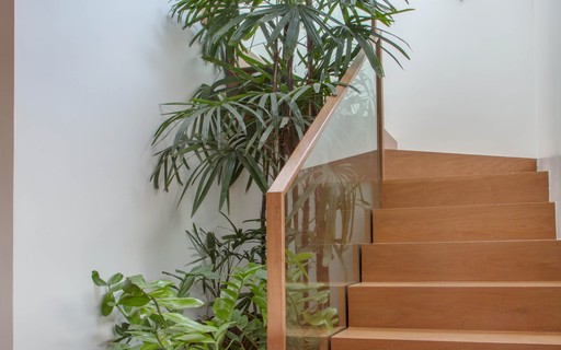 Jardim vertical exuberante com folhagens diversas - inspiração