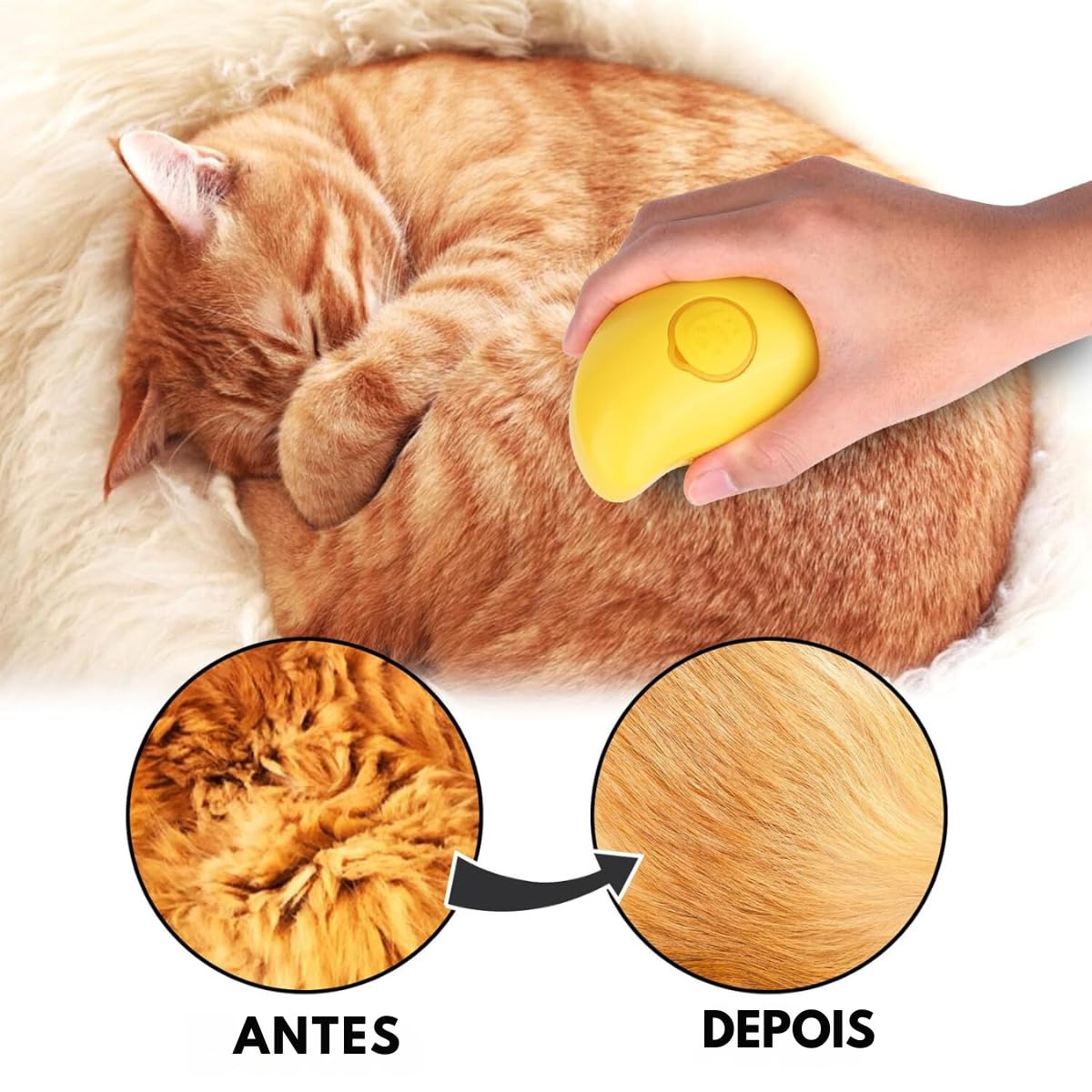 Limpeza a Vapor: Higienização Profunda Sem Produtos Químicos - detalhe