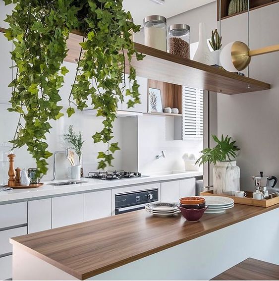 Prateleiras Flutuantes com Folhagens Pendentes: Cascata verde sobre a bancada - detalhe