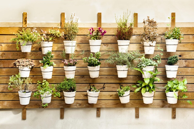 Jardim Vertical Com Pallets: Sustentabilidade Charmosa - ideia