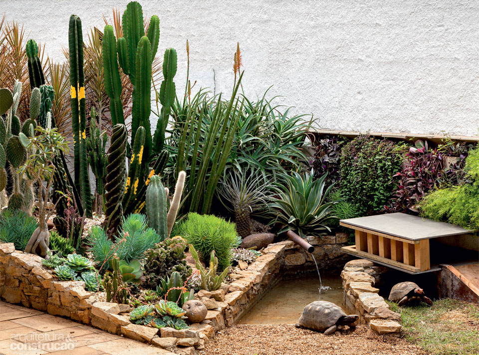 Jardim Exótico com Mandacarus e Cactos Cereus em Composições Assimétricas - detalhe