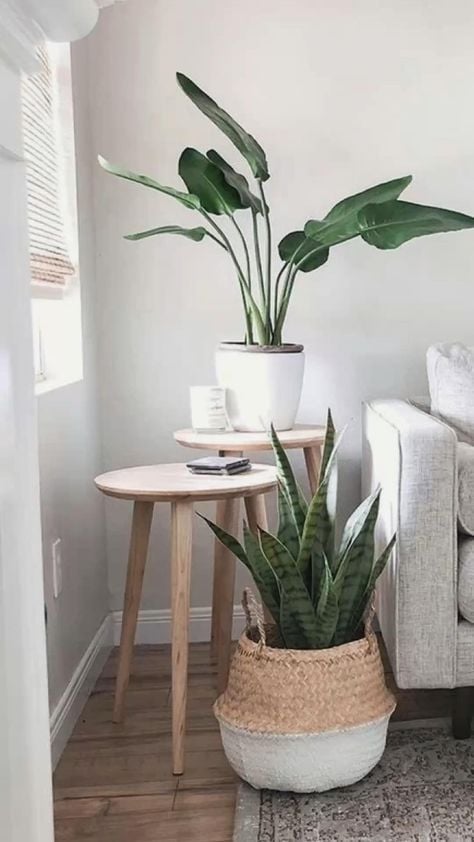 aproveitar os cantos de salas ...