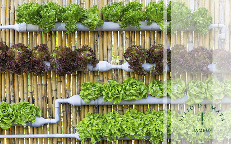 Horta Suspensa: Sabores Frescos ao Alcance das Mãos - ideia