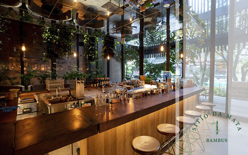 Bar Temático Botânico: Decoração com Plantas e Elementos Naturais - ideia