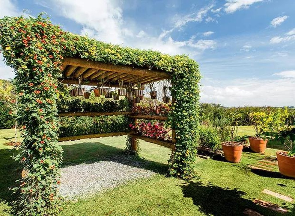 Cantinho Zen: Pergolado com Bambu e Orquídeas - ideia