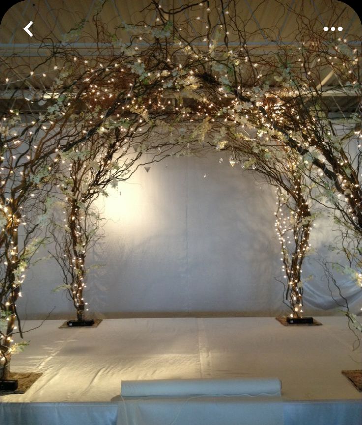 Toque da Natureza: Decoração com Galhos Secos e Folhagens - inspiração