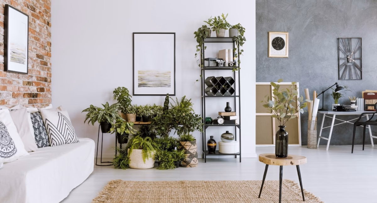 5 dicas de decoração com plantas - Blog ...