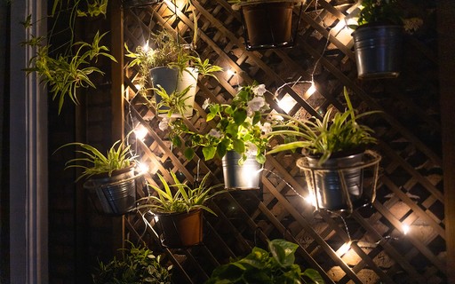 Luzes e Plantas: Varal de Luzes Iluminando um Jardim Vertical - ideia
