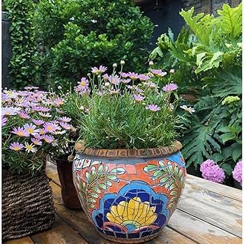 Onze-Horas Vibrantes em Vasos de Cerâmica Pintados à Mão: Exclusividade e Cor - detalhe