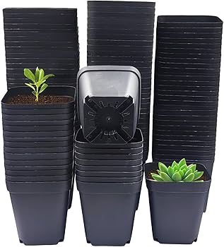 Potes de Plástico Transformados em Vasos de Plantas: Um Toque Verde e Natural - inspiração