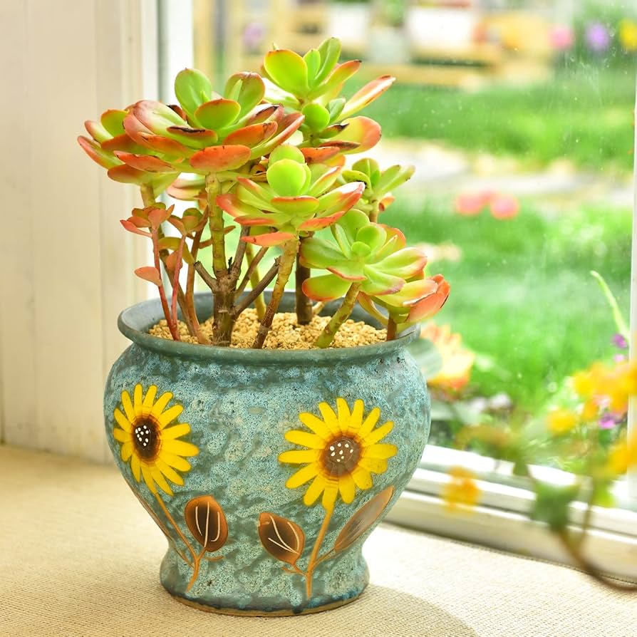 Plantas Em Vasos De Cerâmica Artesanal: Exclusividade - inspiração