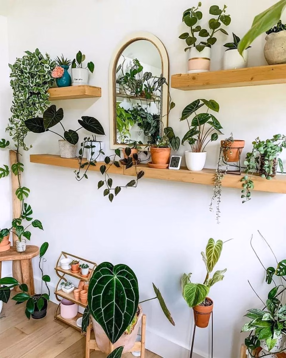 Prateleiras de Canto com Plantas: Um Jardim Suspenso - detalhe