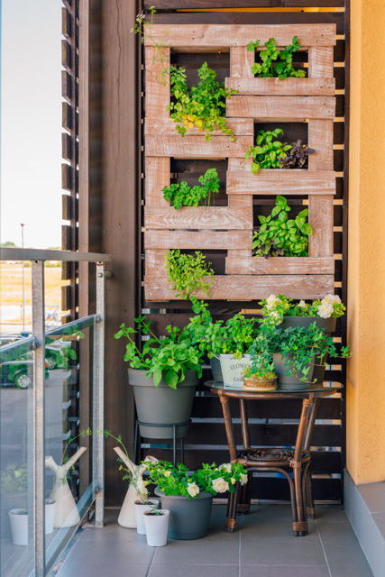 Verde Que Acalma: Mini Jardim Vertical para Apartamentos - inspiração