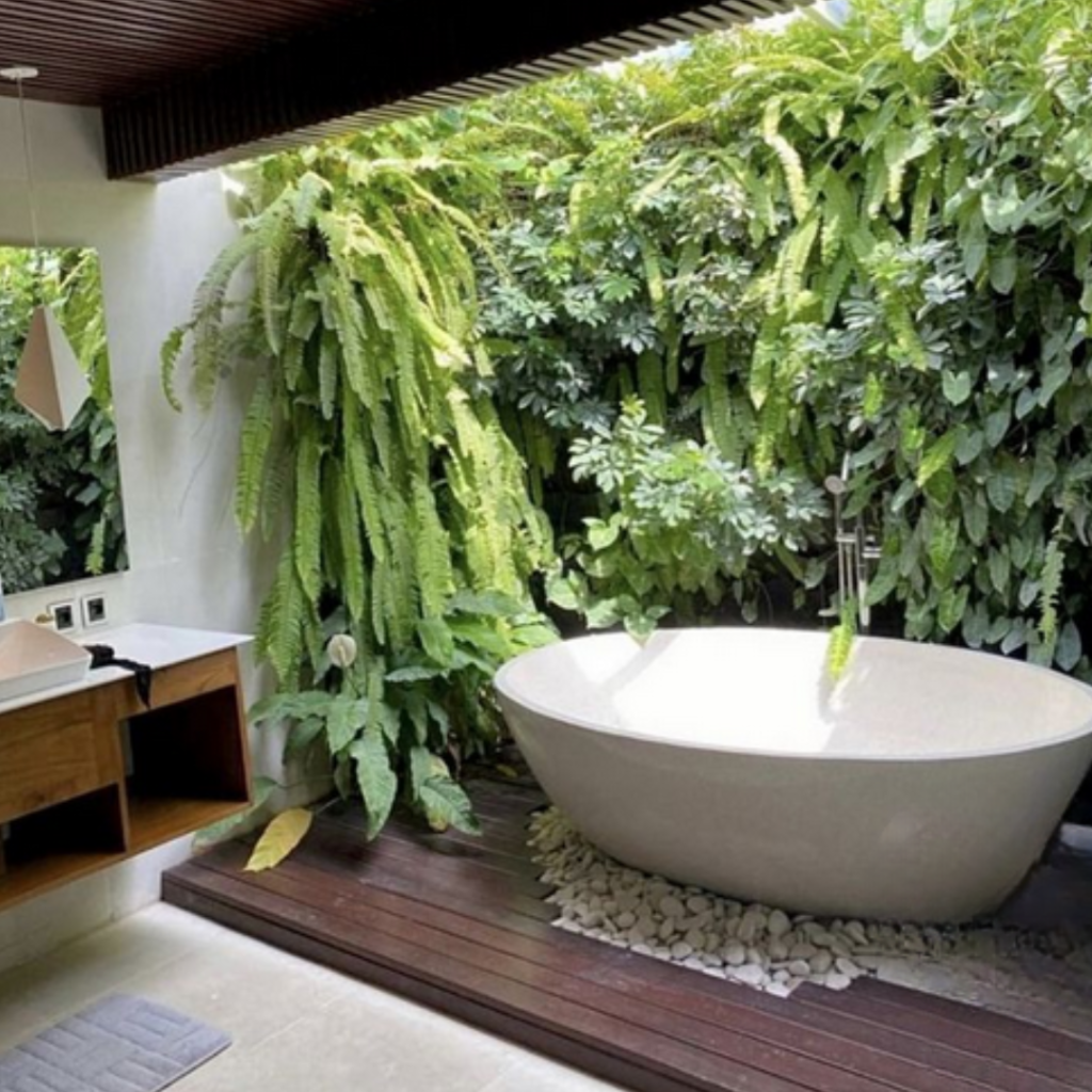 Com Jardim Vertical: Natureza Que Purifica e Acalma - ideia