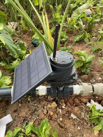 Com Bomba Solar para Irrigação Automática - detalhe