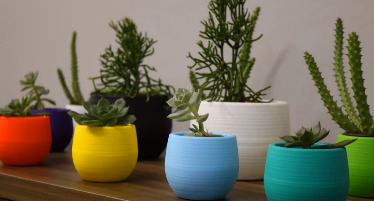 Suculentas em Vasos de Cimento: Um Toque Industrial e Moderno - inspiração