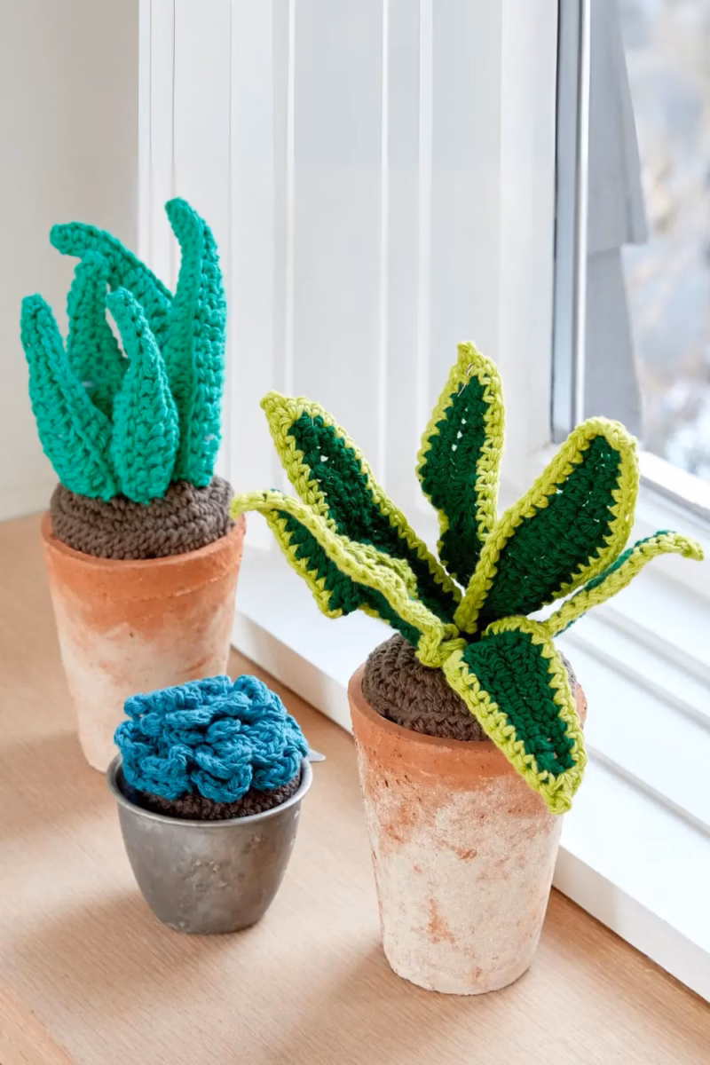 Suculentas em Cachepots de Crochê: Charme Artesanal e Aconchegante - detalhe