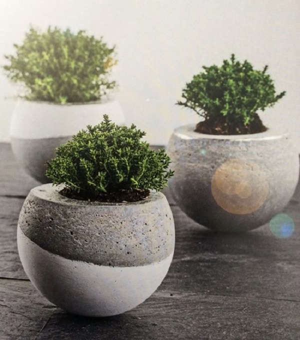 Suculentas em Vasos de Cimento: Um Toque Industrial e Moderno - inspiração