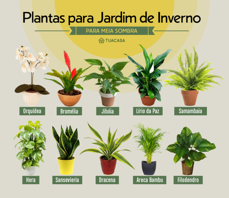 Jardim de Inverno Suspenso: Macramê e Samambaias em Harmonia - inspiração