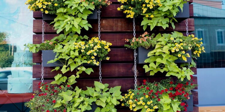 Jardim Vertical com Pallets Rústicos: Charme Natural e Sustentável - inspiração