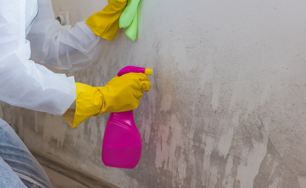 Pintura Lousa: Diversão e Funcionalidade Ocultando Imperfeições - ideia