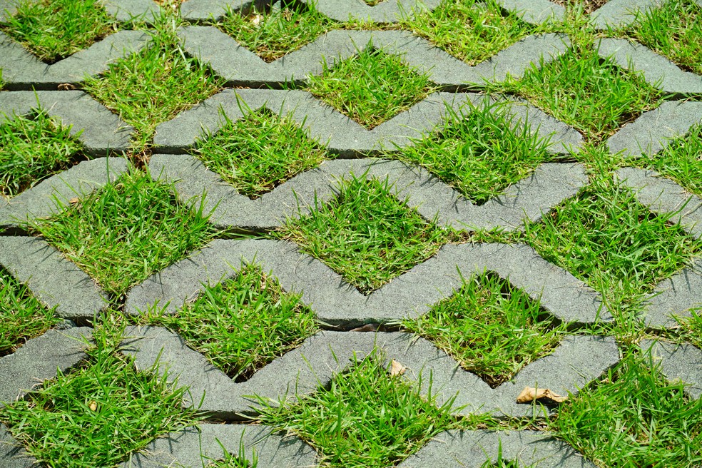 Concregrama em Espiral: Um Toque de Design no Seu Jardim - detalhe