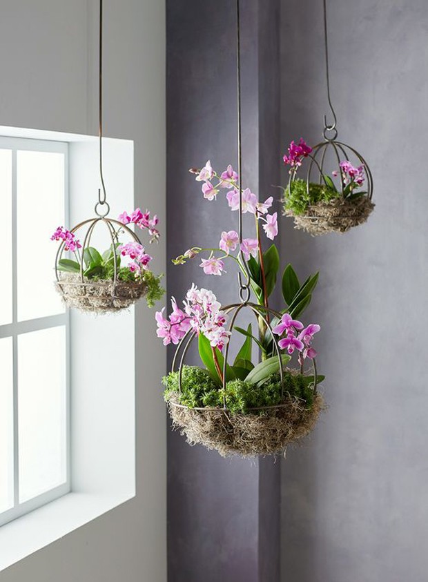 Orquídeas Suspensas em Macramê: Um Toque Boho para sua Casa - detalhe