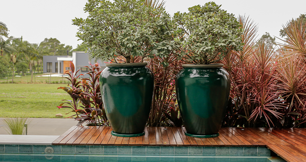 Vasos Temáticos: Celebre as Estações do Ano - inspiração