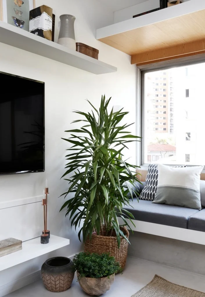 sala de apartamento | plantas ...