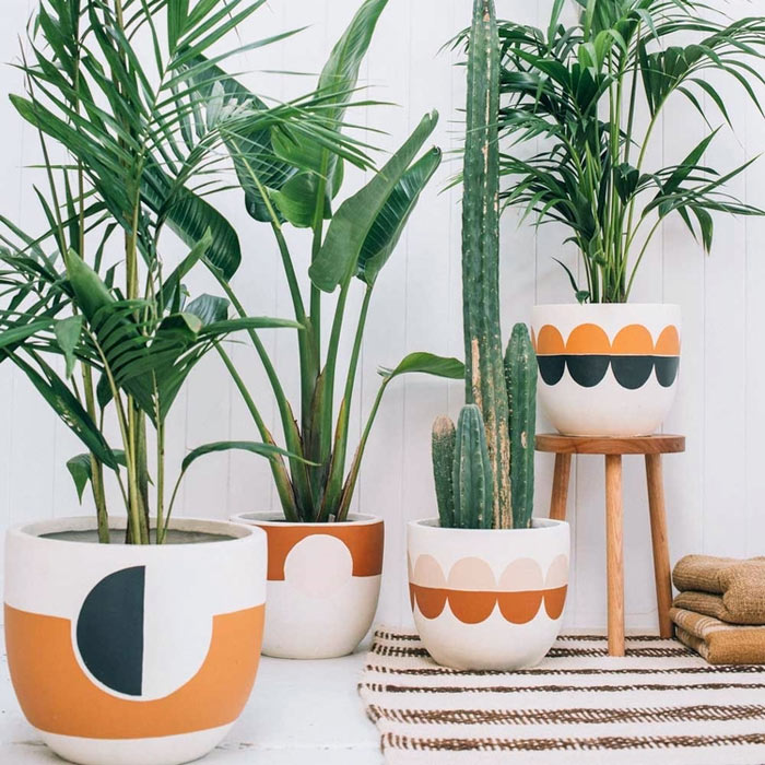 Jardinagem Aconchegante com Vasos de Cerâmica Pintados à Mão - detalhe