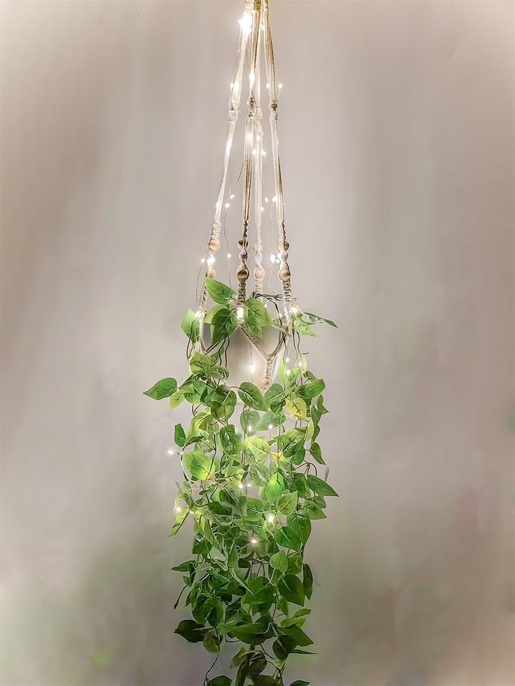 Mini Orquídeas em Vasos Suspensos de Macramê: Um Toque Boho Chic - inspiração