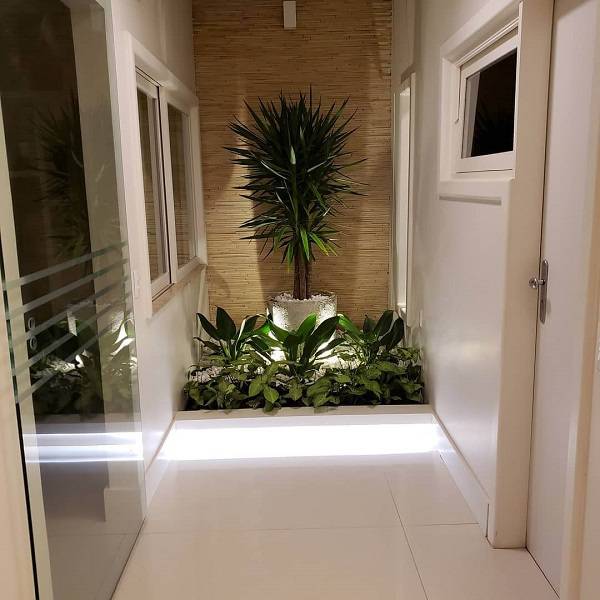 Jardim de Inverno Minimalista com Pedras e Suculentas - detalhe