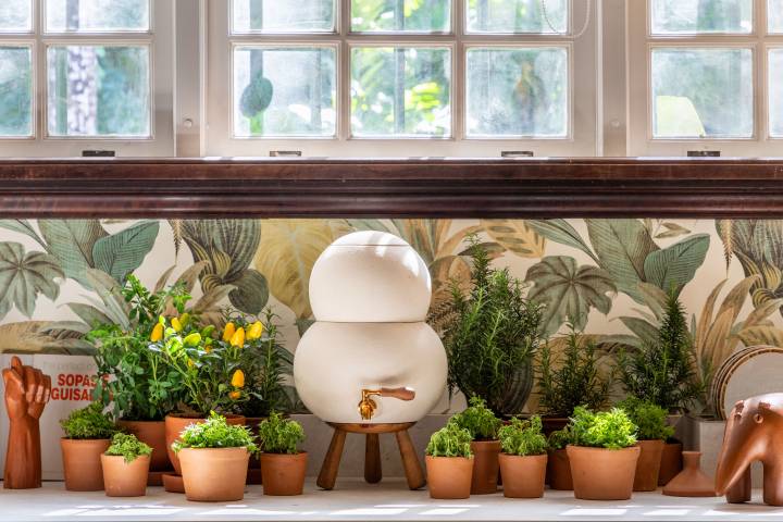 Em Cachepots de Cerâmica Decorados: Um Toque Artístico e Personalizado - inspiração