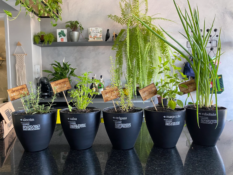 Vasos Autoirrigáveis em Ambientes Internos: Praticidade e Beleza - detalhe