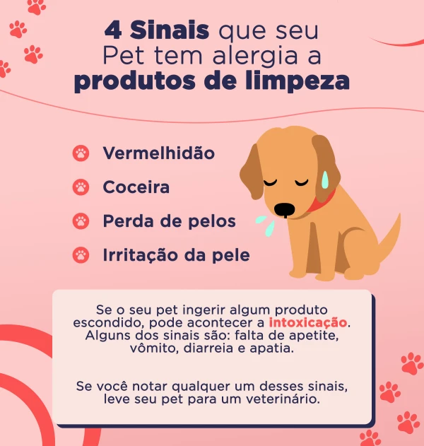 Detergente Neutro Caseiro: Economia e Segurança para Seus Pets - ideia