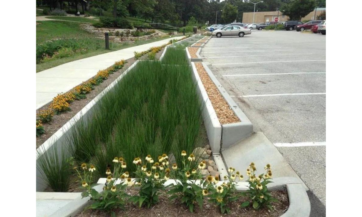 Manutenção Sustentável: Jardins de Chuva Inteligentes - detalhe