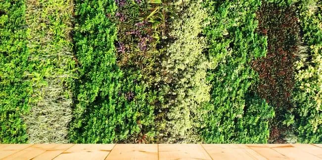 Manutenção com Arte: Jardins Verticais Esculpidos - ideia