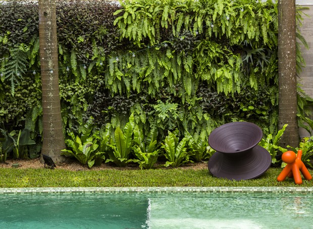 Crie um Refúgio Tropical com Samambaias Suspensa - detalhe