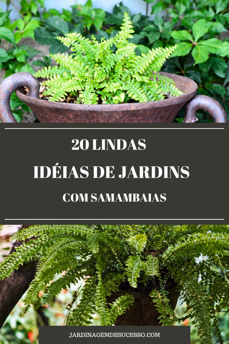 Parede Verde Texturizada com Samambaias e Musgos - detalhe