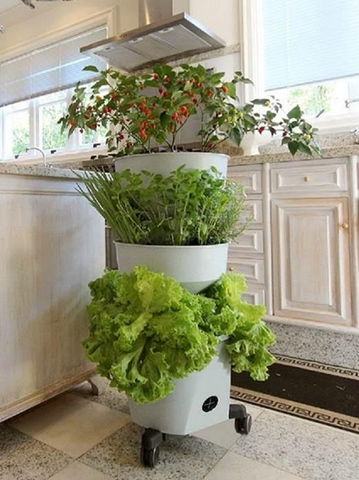 Jardim Vertical Compacto: Mini-horta suspensa com ervas frescas - inspiração