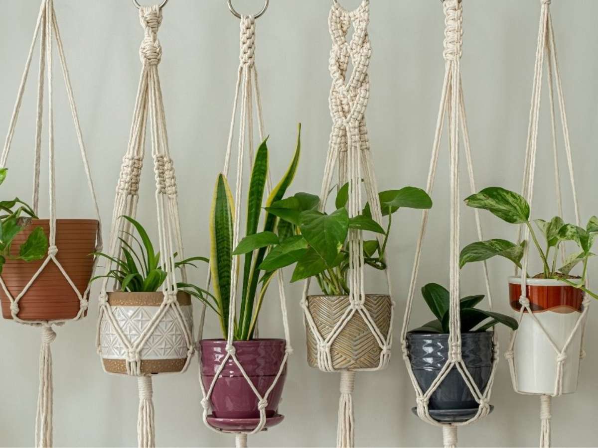 Plantas Suspensa em Macramê: Charme Boho no Seu Banho - detalhe